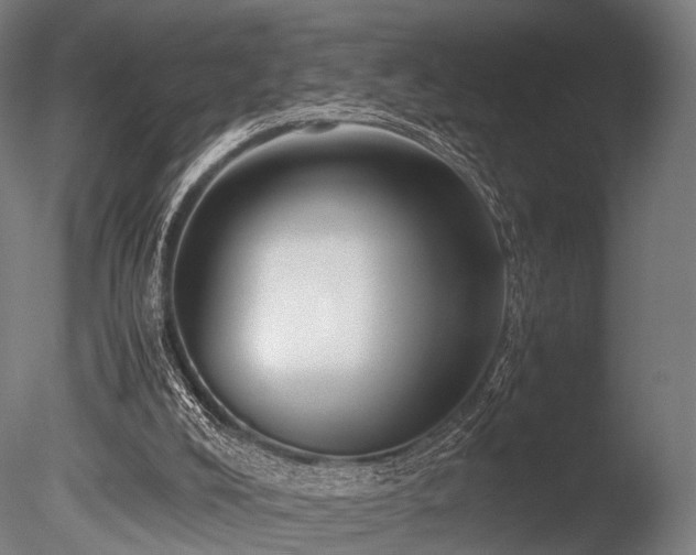 X0000086040008200703231253