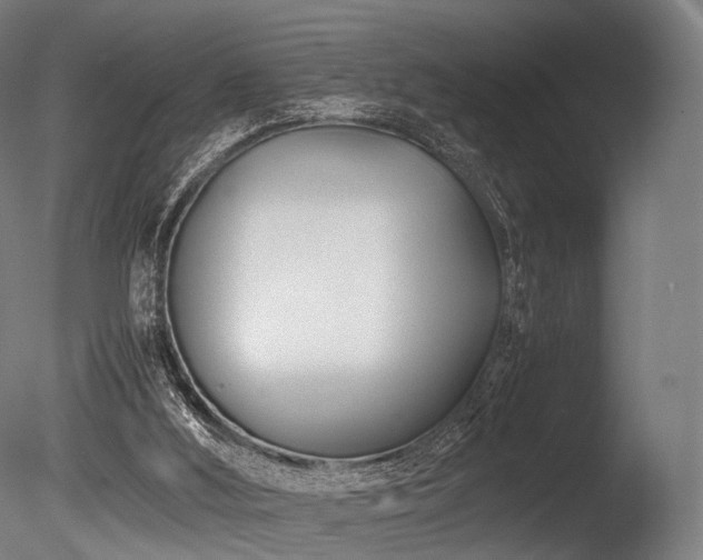 X0000086040012200703231253
