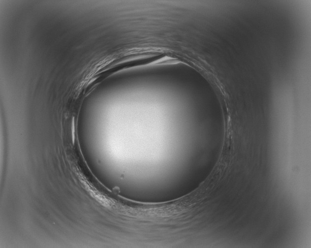 X0000086040013200703231253