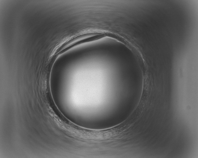 X0000086040015200703231253