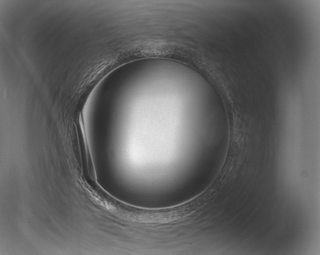 X0000086040017200703231252