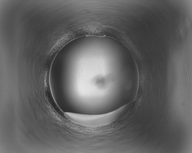 X0000086040023200703231252