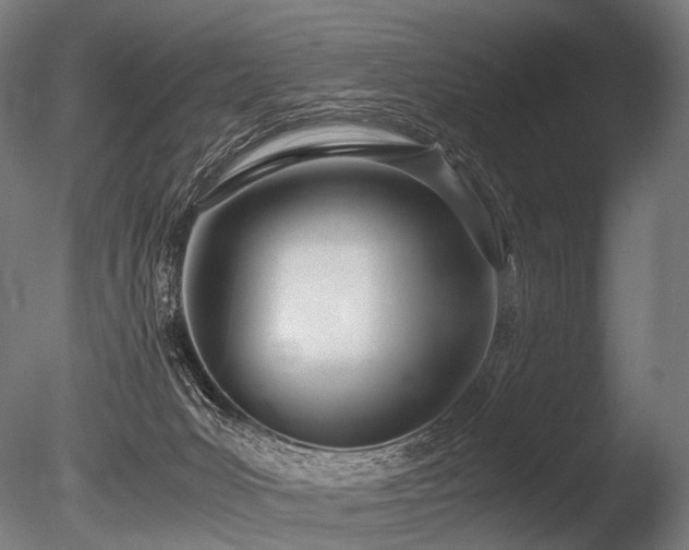 X0000086040031200703231252
