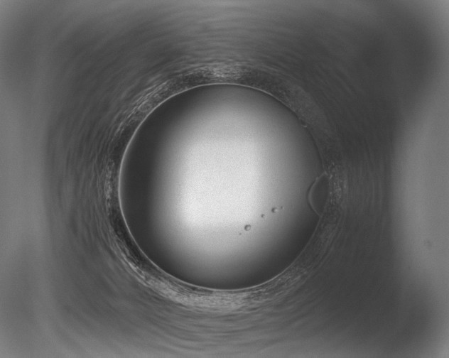 X0000086040032200703231252