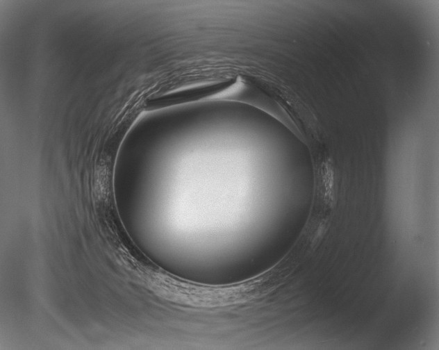 X0000086040035200703231252