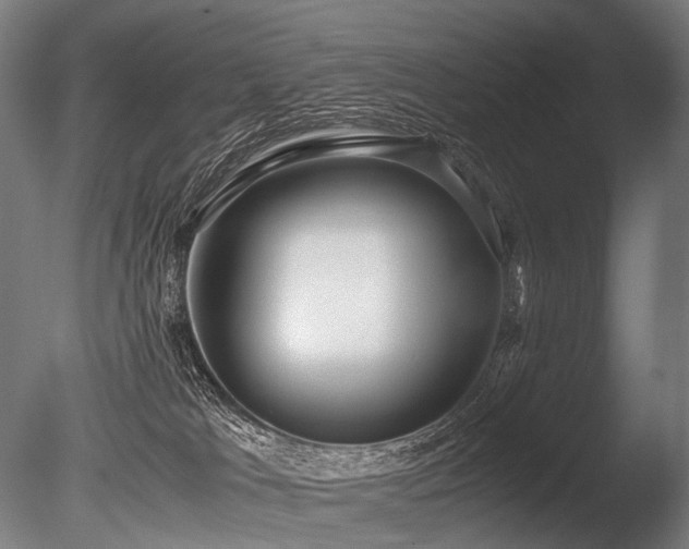 X0000086040037200703231252