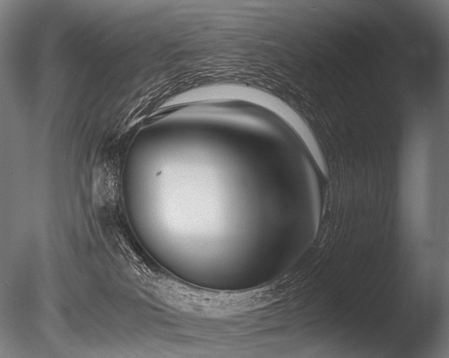 X0000086040039200703231252