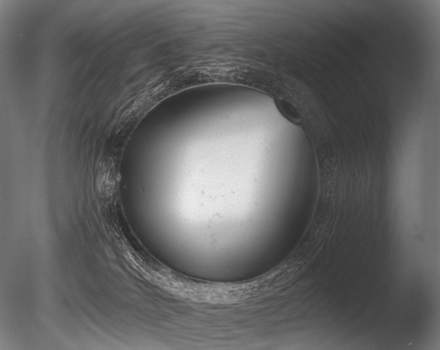 X0000086040040200703231252