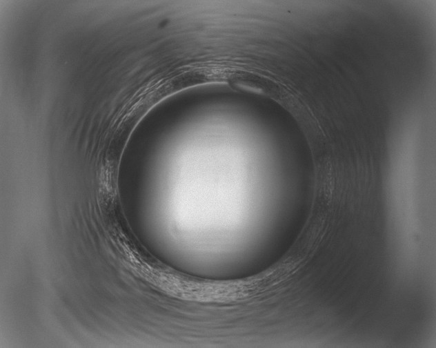 X0000086040044200703231252