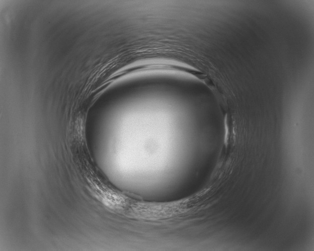 X0000086040045200703231252