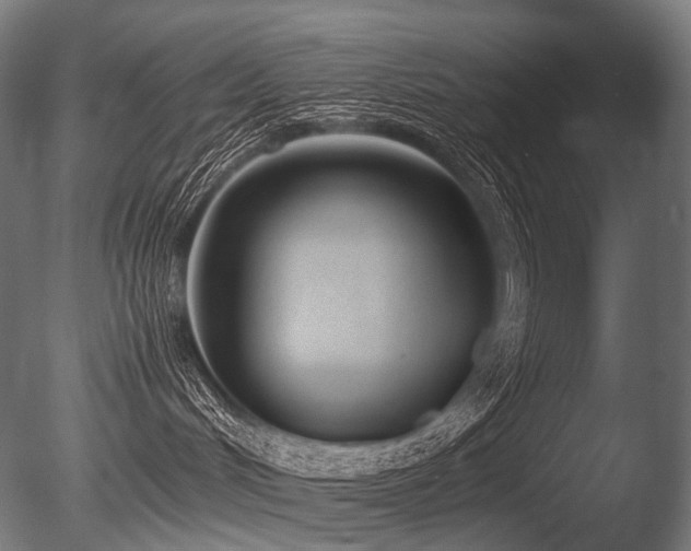 X0000086040048200703231252