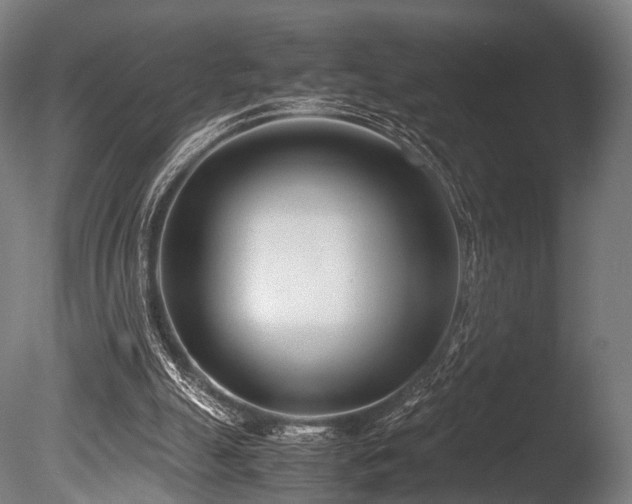 X0000086040055200703231251