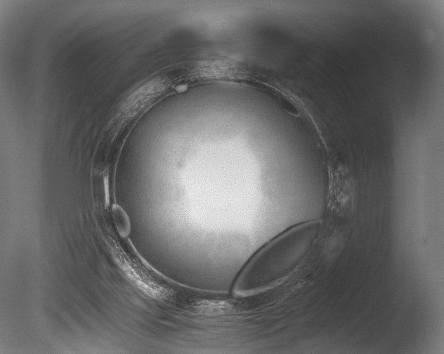 X0000086040061200703231251