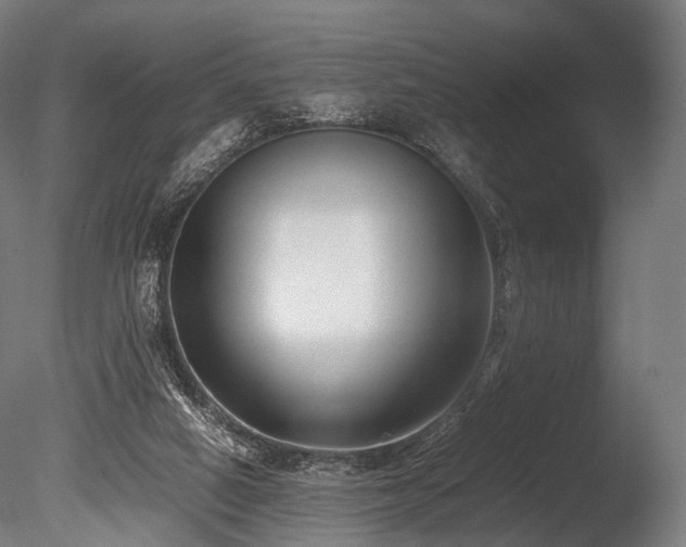 X0000086040066200703231251