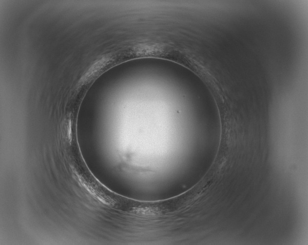 X0000086040067200703231251