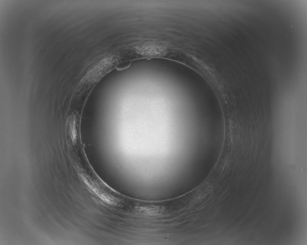 X0000086040069200703231251