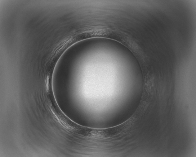 X0000086040070200703231251