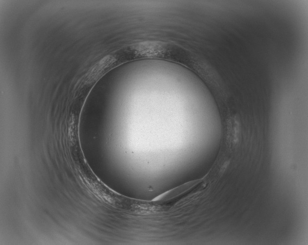 X0000086040073200703231252