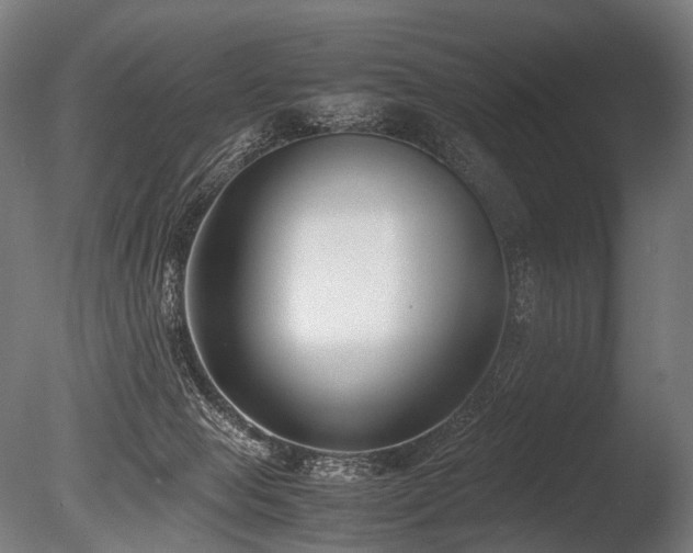 X0000086040077200703231252
