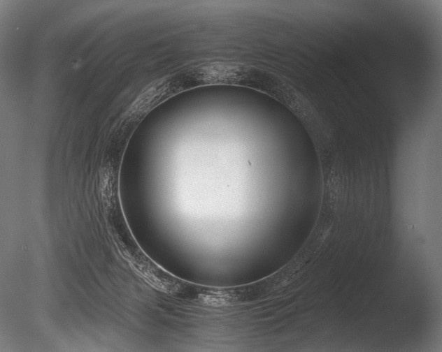 X0000086040079200703231252
