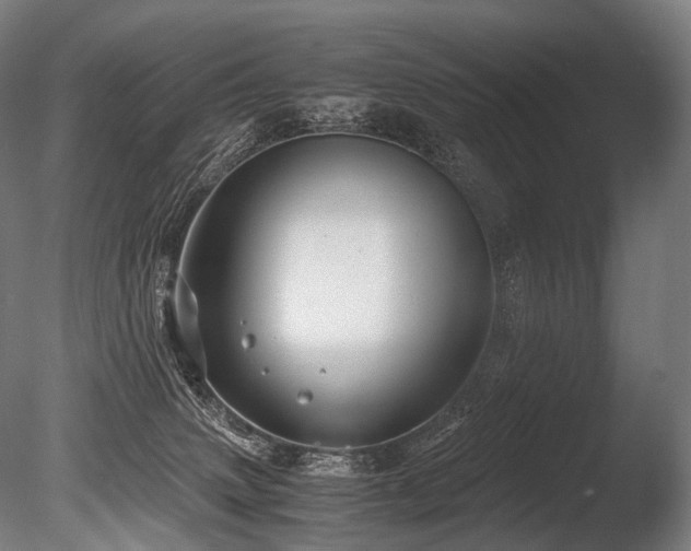 X0000086040083200703231252