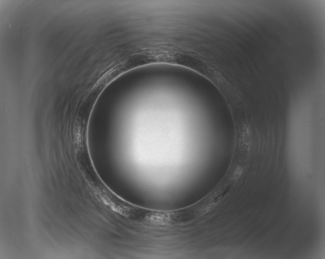 X0000086040084200703231252