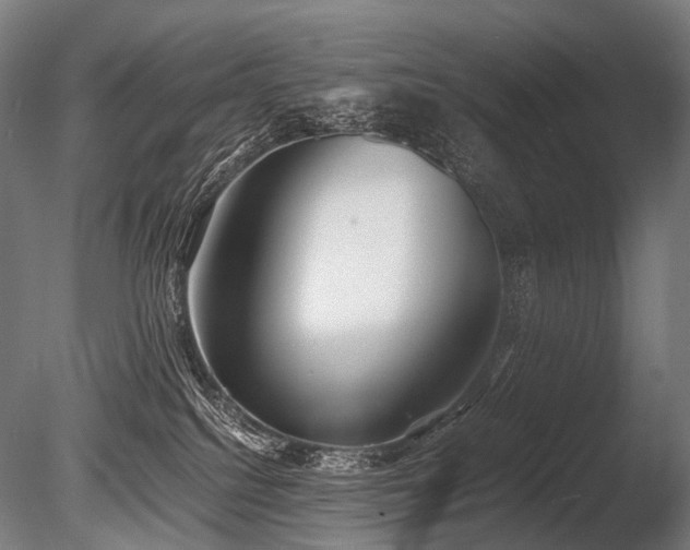 X0000086040088200703231252