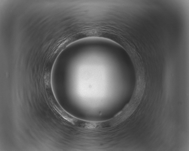 X0000086040096200703231252