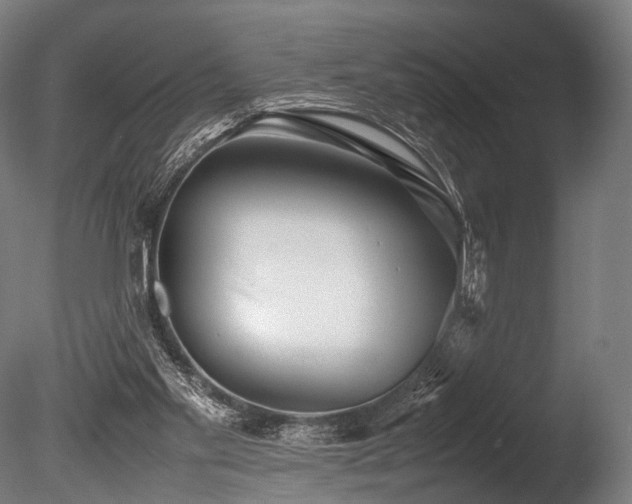 X0000086040109200703231251