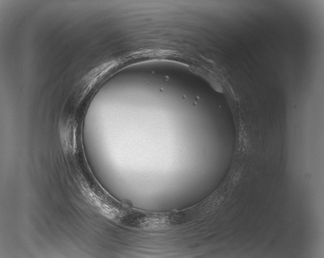 X0000086040110200703231251
