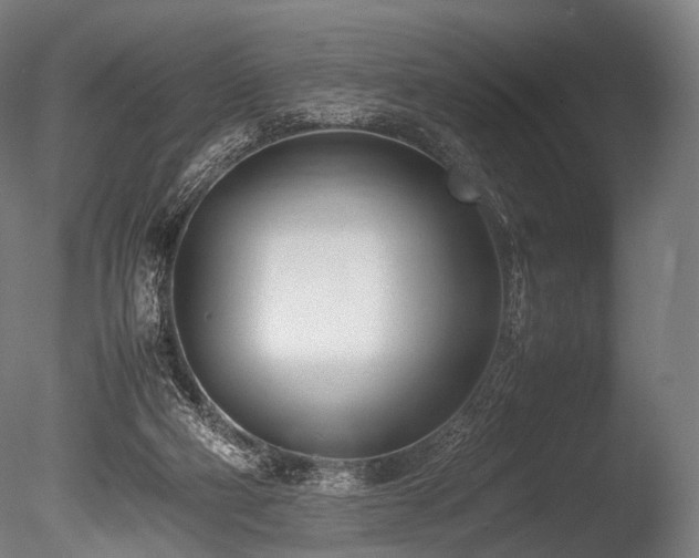 X0000086040114200703231251