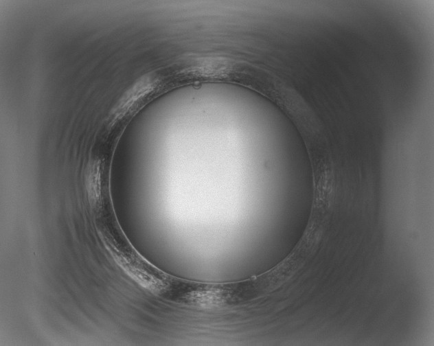 X0000086040120200703231251