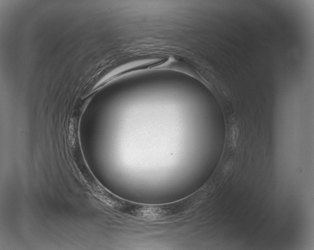 X0000086040121200703231251