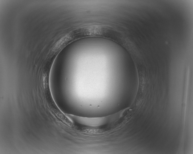 X0000086040123200703231251
