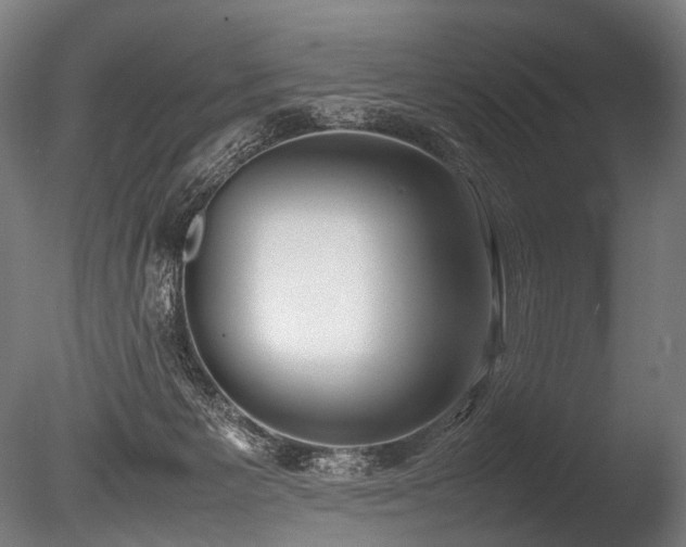 X0000086040125200703231251