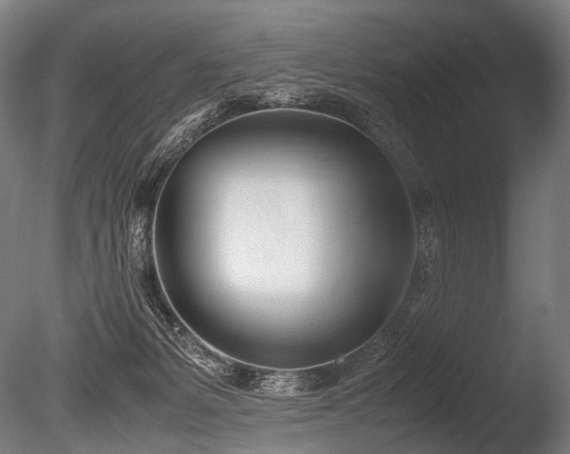 X0000086040127200703231251