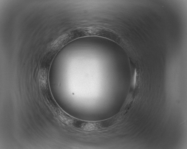 X0000086040129200703231251