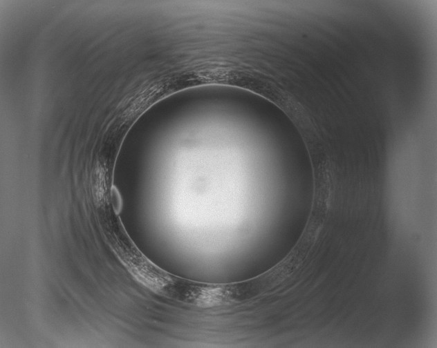 X0000086040130200703231251