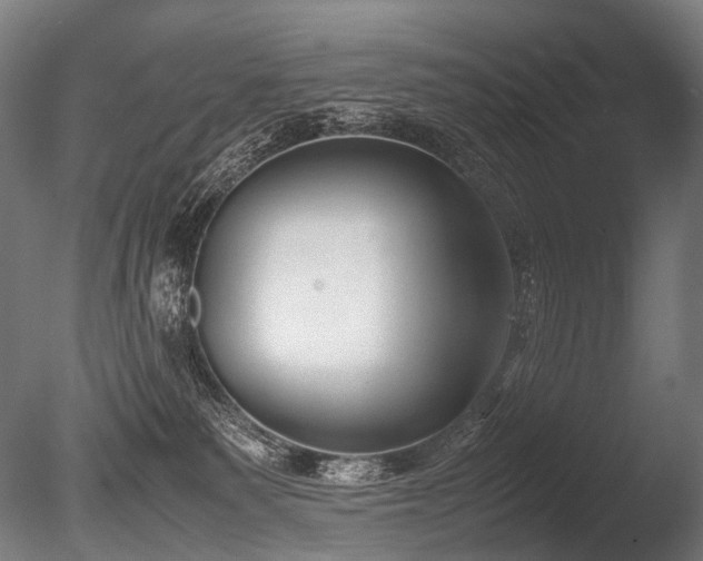X0000086040135200703231250