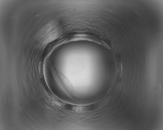X0000086040139200703231250