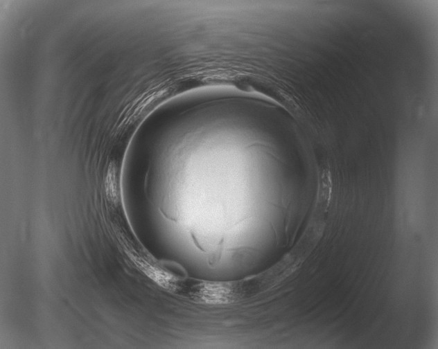X0000086040143200703231250