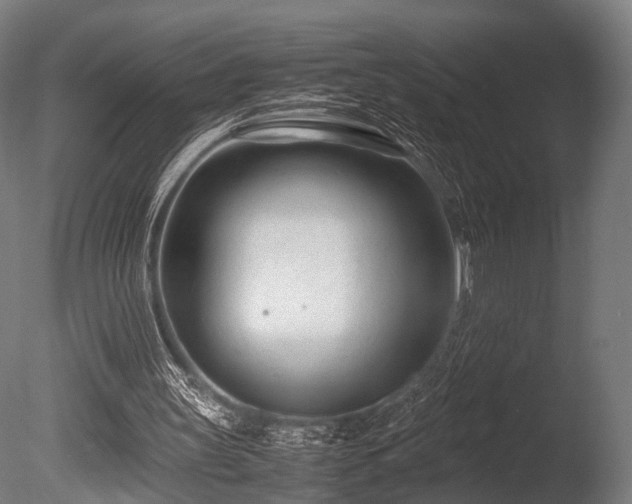 X0000086040147200703231249