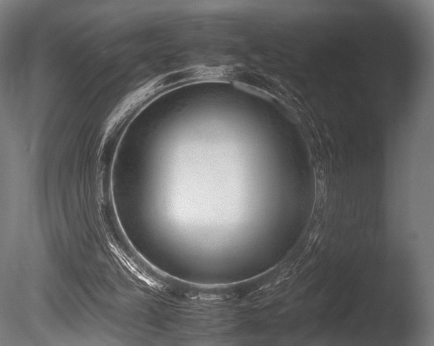 X0000086040149200703231250