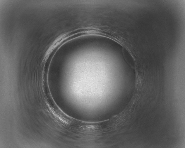 X0000086040151200703231250