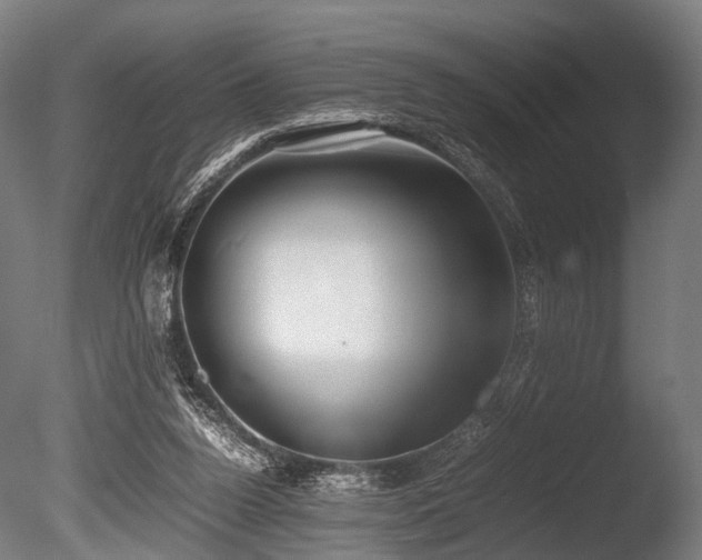 X0000086040160200703231250
