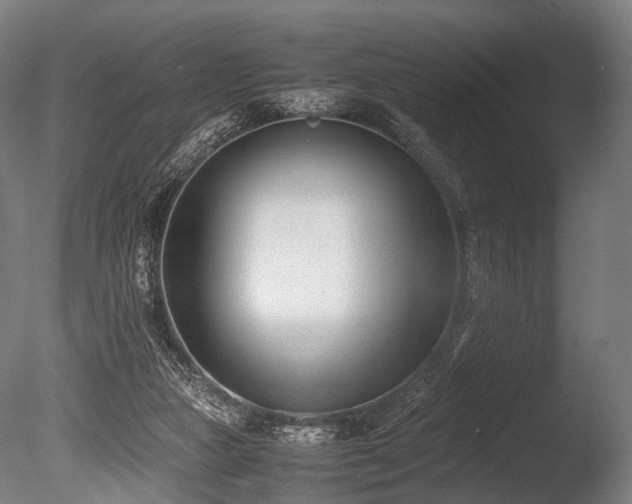 X0000086040161200703231250