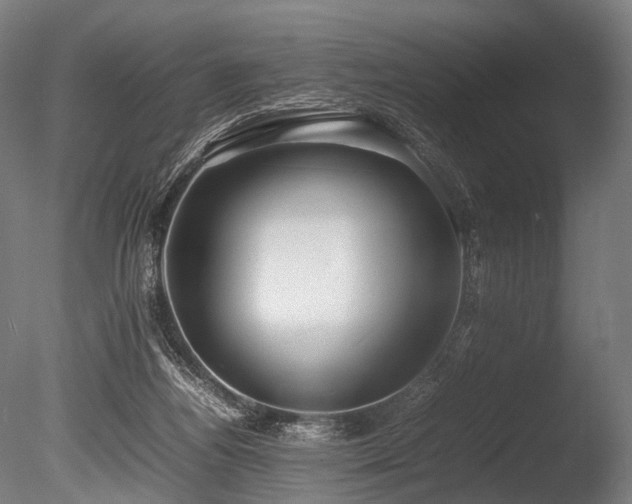 X0000086040164200703231250
