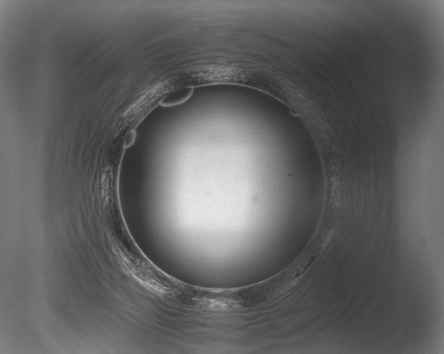 X0000086040165200703231250
