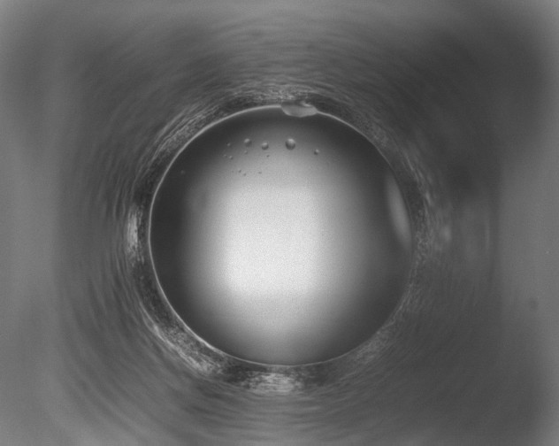 X0000086040166200703231250