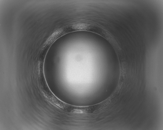 X0000086040167200703231250